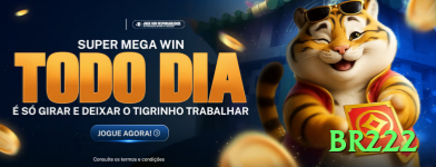 Guia Completo: br222 - Tudo Que Você Precisa Saber em 202601 - br222 🎰⚡ Big win chase live: assista streams de slots, entre no mesmo jogo após mega hit — follow the heat! 📺🔥